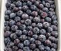 Rustic Blueberry Crumble Dessert
